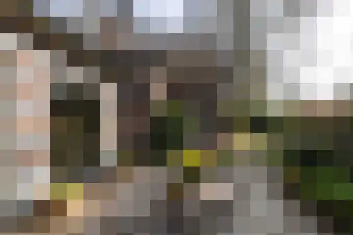 Museumlaan 3 Huizen thumbnail 49