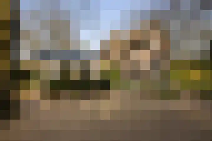 Museumlaan 3 Huizen thumbnail 50