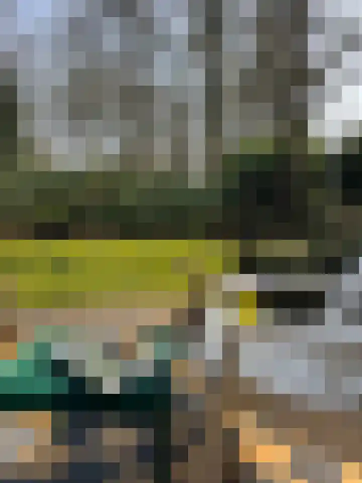 Museumlaan 3 Huizen thumbnail 53