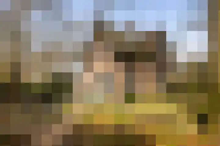 Museumlaan 3 Huizen thumbnail 54
