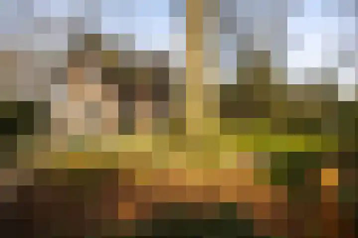 Museumlaan 3 Huizen thumbnail 56