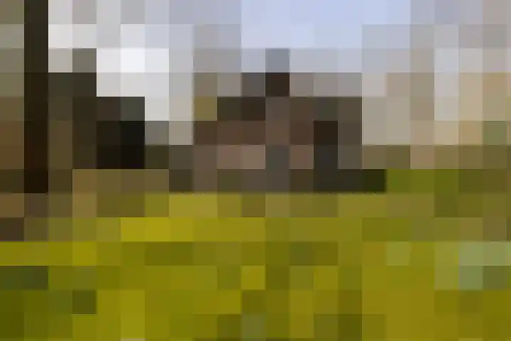 Museumlaan 3 Huizen thumbnail 57