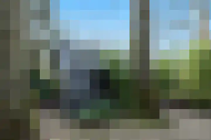 Museumlaan 3 Huizen thumbnail 59