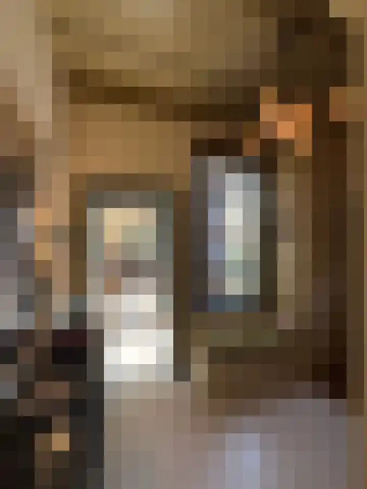 Museumlaan 3 Huizen thumbnail 8