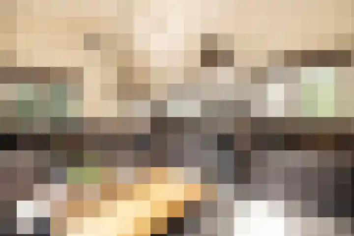 Museumlaan 3 Huizen thumbnail 9