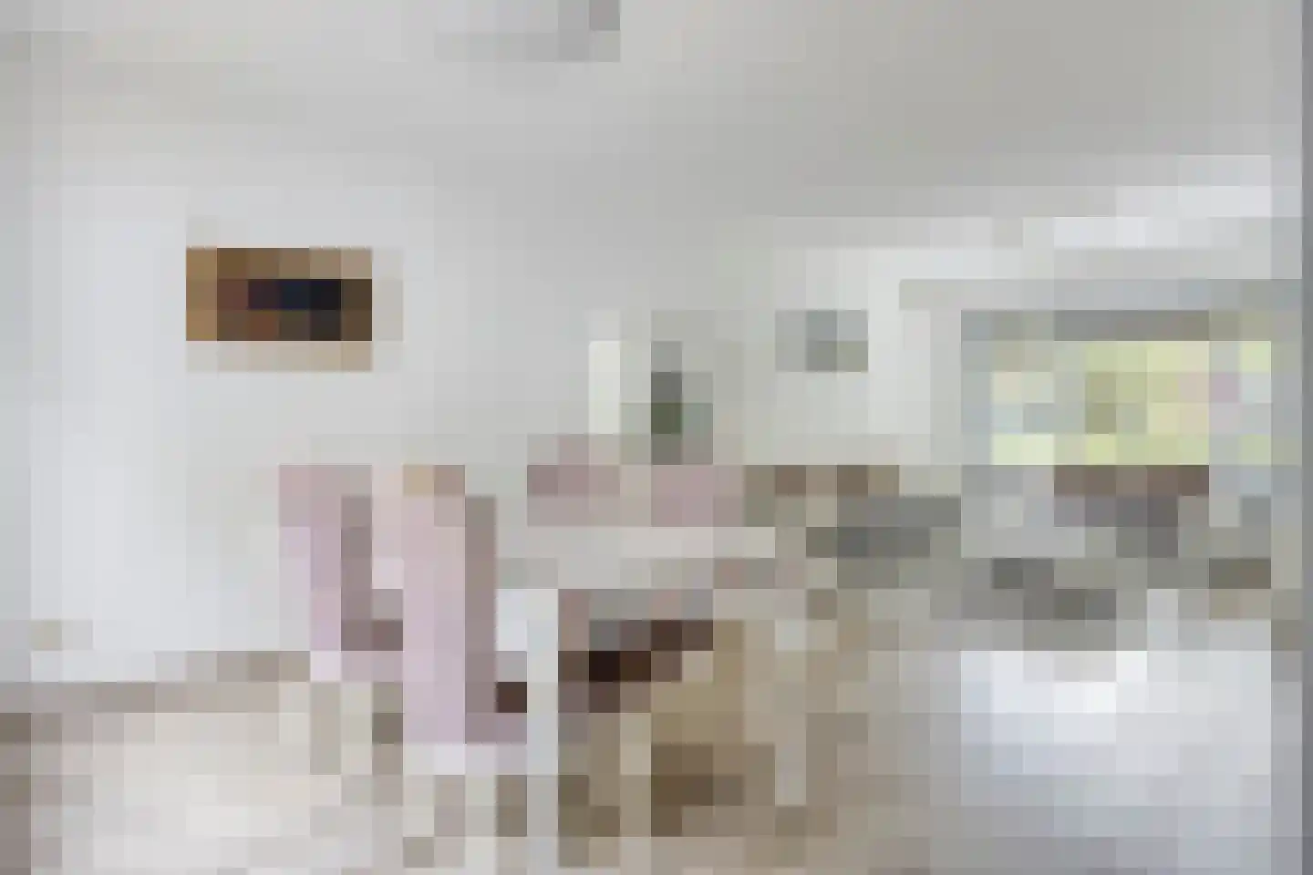 Museumlaan 48 Koog aan de Zaan thumbnail 17
