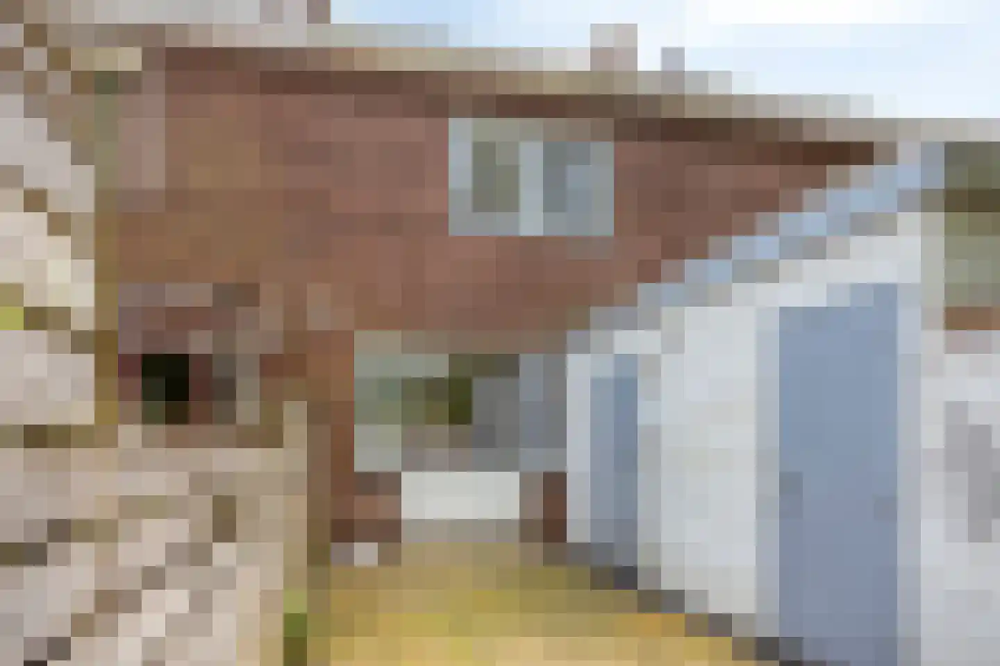 Museumlaan 48 Koog aan de Zaan thumbnail 32