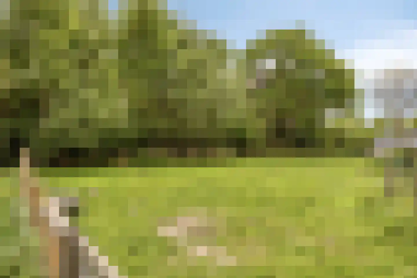 Museumlaan 48 Koog aan de Zaan thumbnail 34