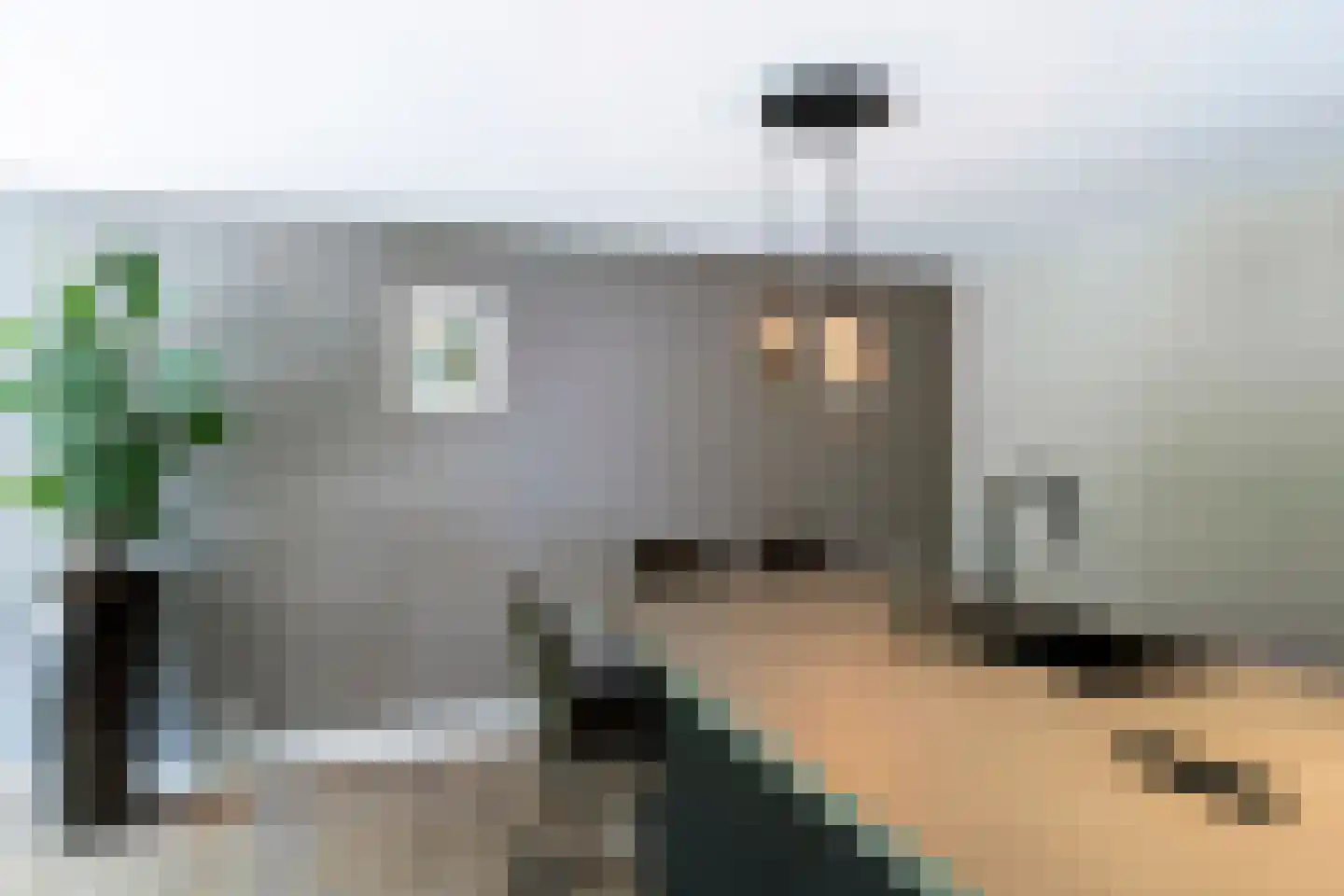 Museumlaan 6 Huizen thumbnail 13