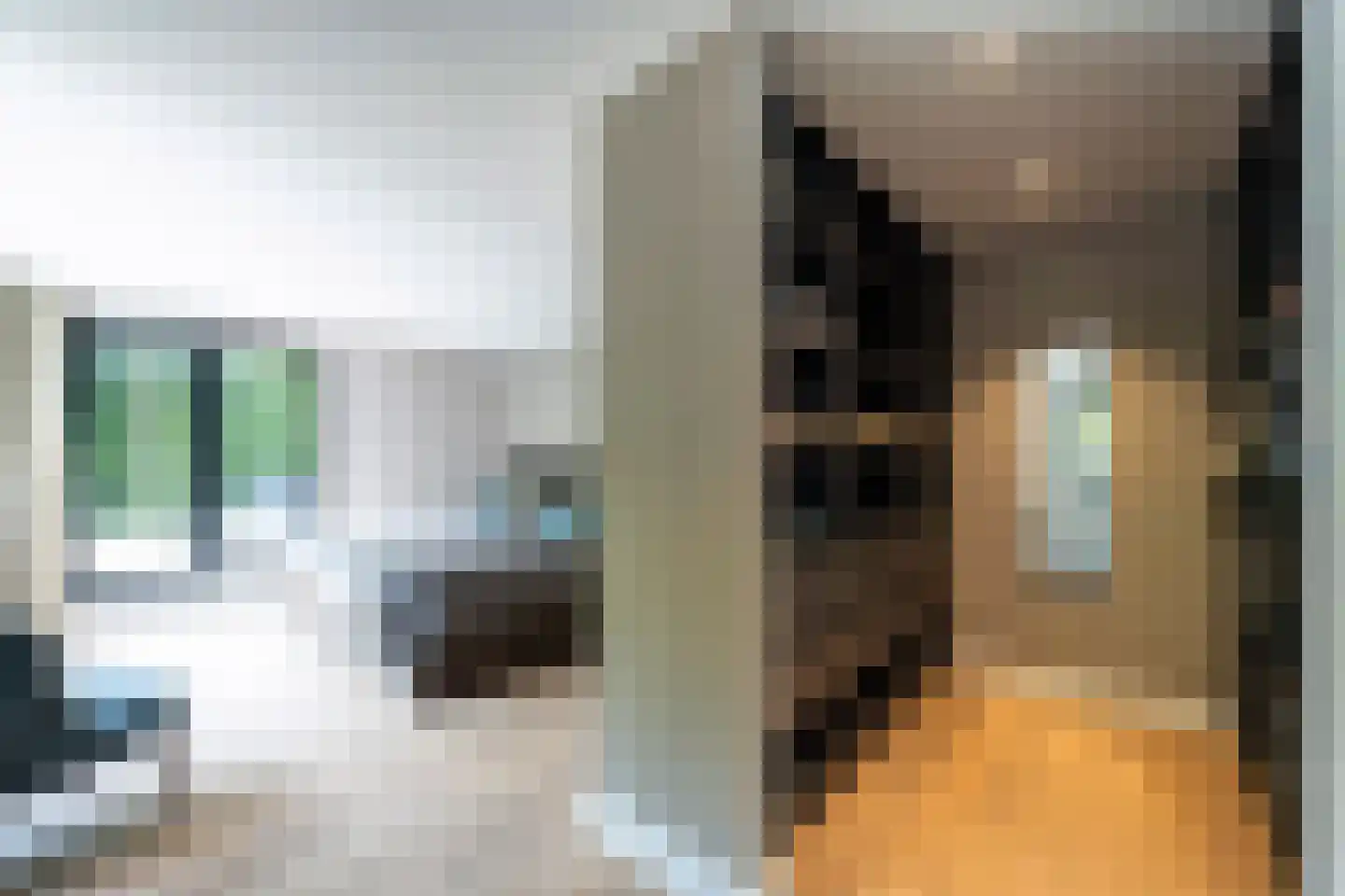 Museumlaan 6 Huizen thumbnail 37