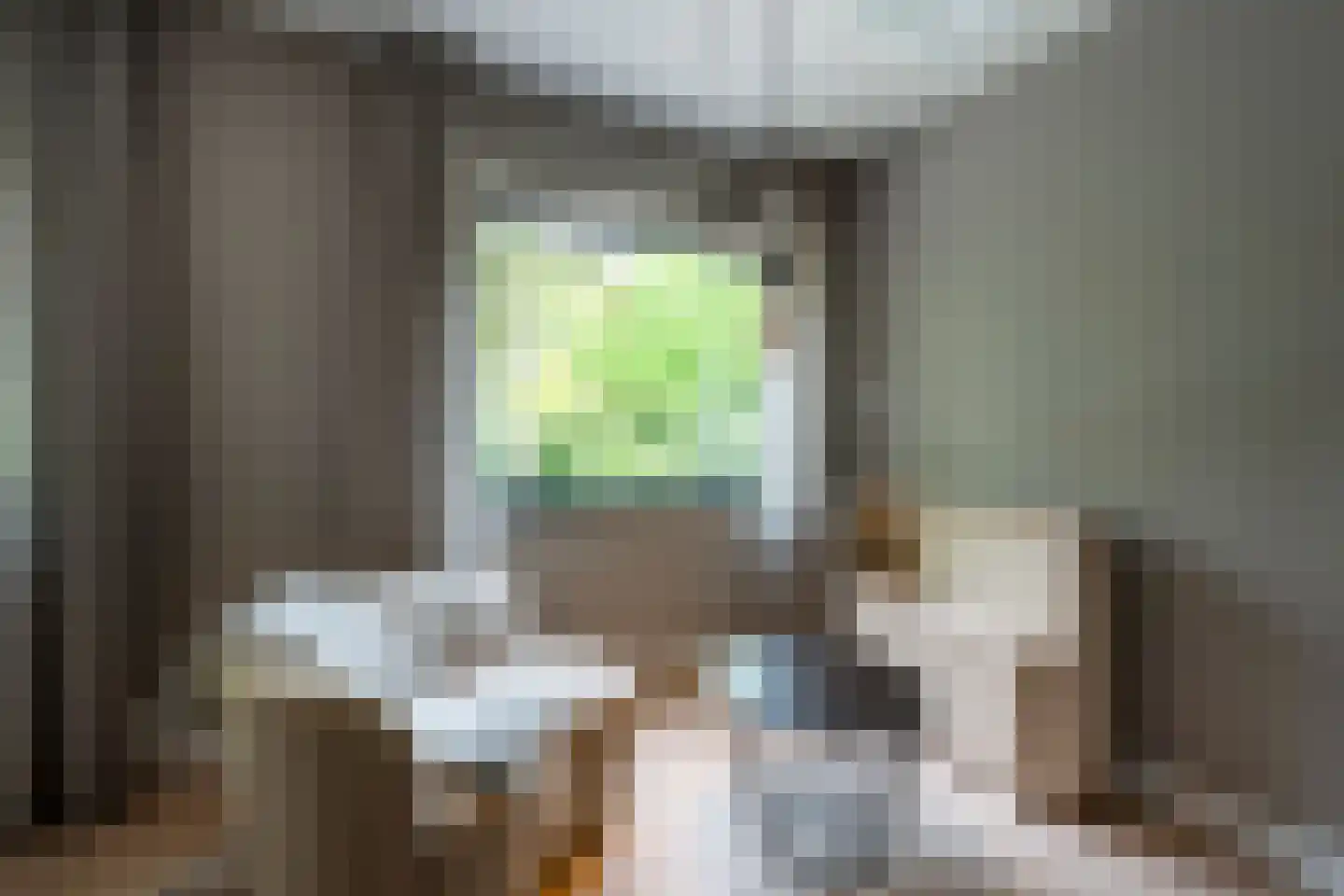 Museumlaan 6 Huizen thumbnail 42