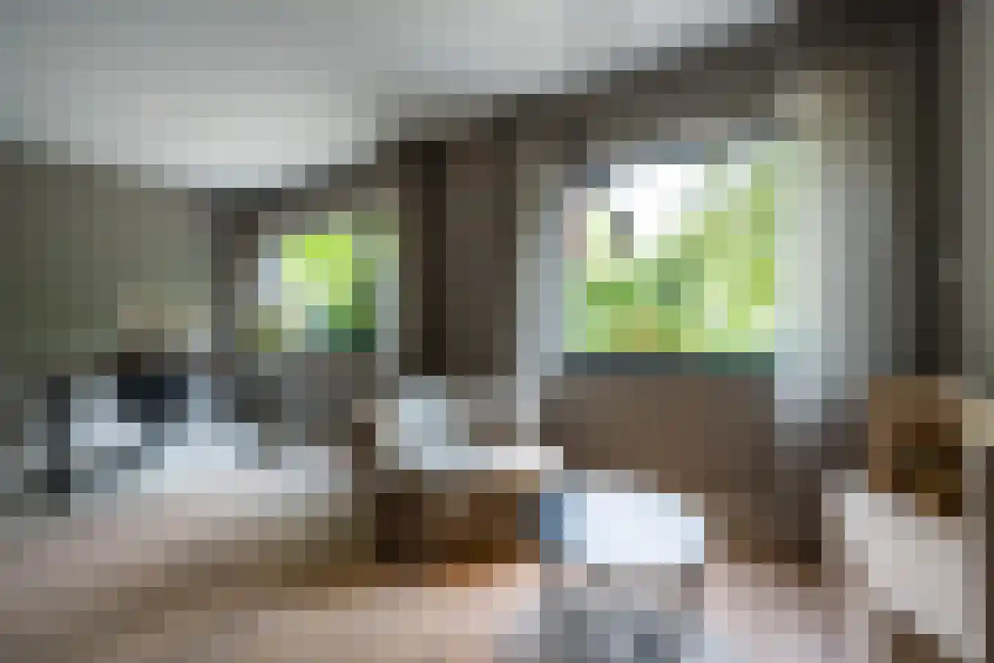 Museumlaan 6 Huizen thumbnail 43