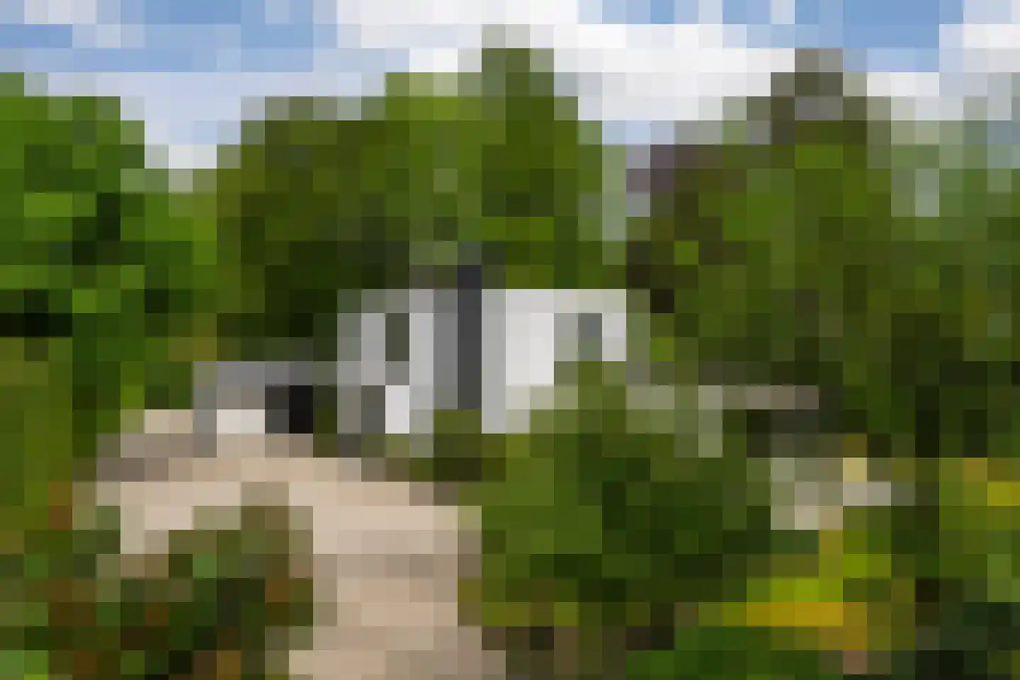 Museumlaan 6 Huizen thumbnail 5