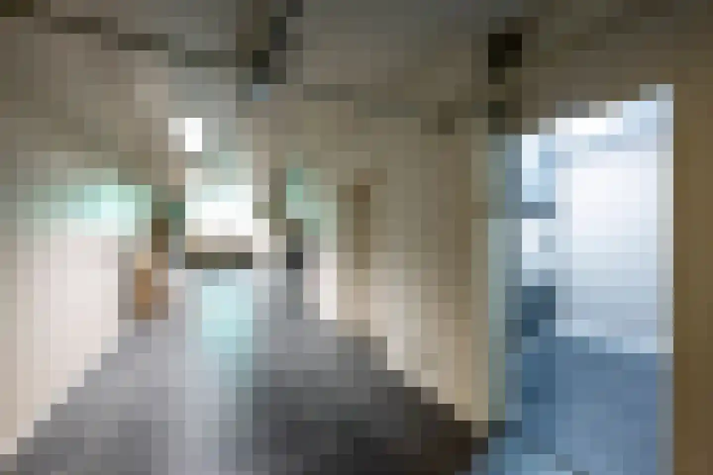 Museumlaan 6 Huizen thumbnail 50