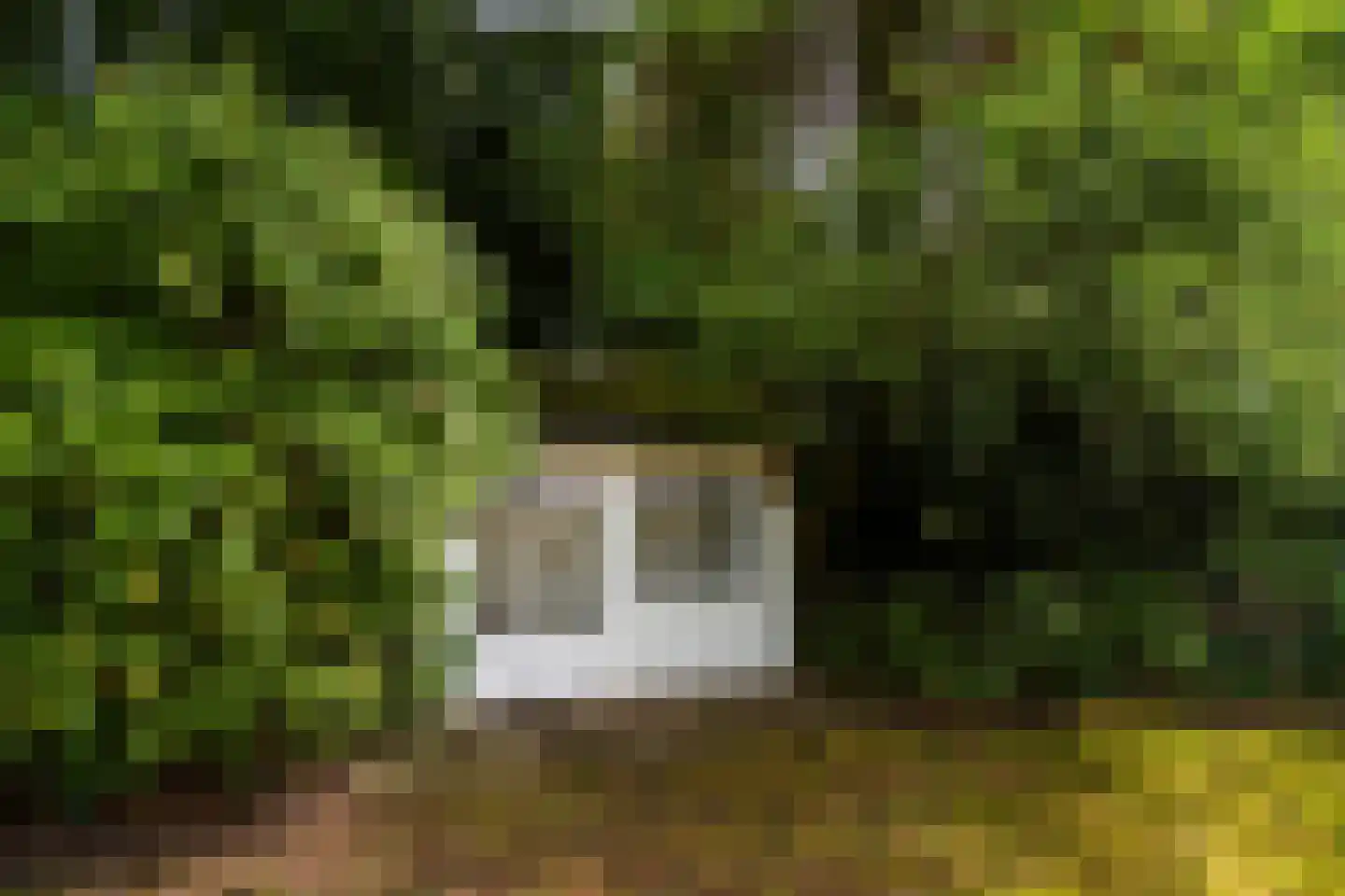 Museumlaan 6 Huizen thumbnail 52