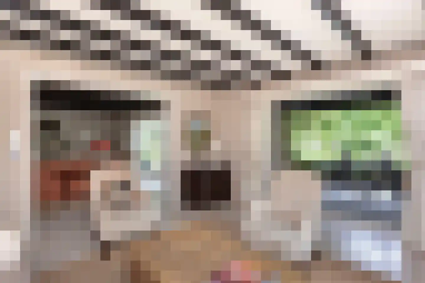Museumlaan 7 Huizen thumbnail 11