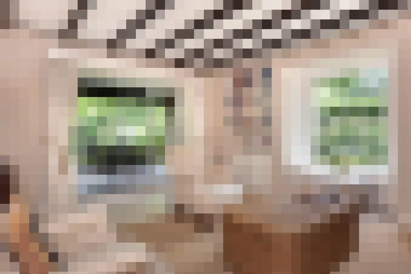 Museumlaan 7 Huizen thumbnail 12