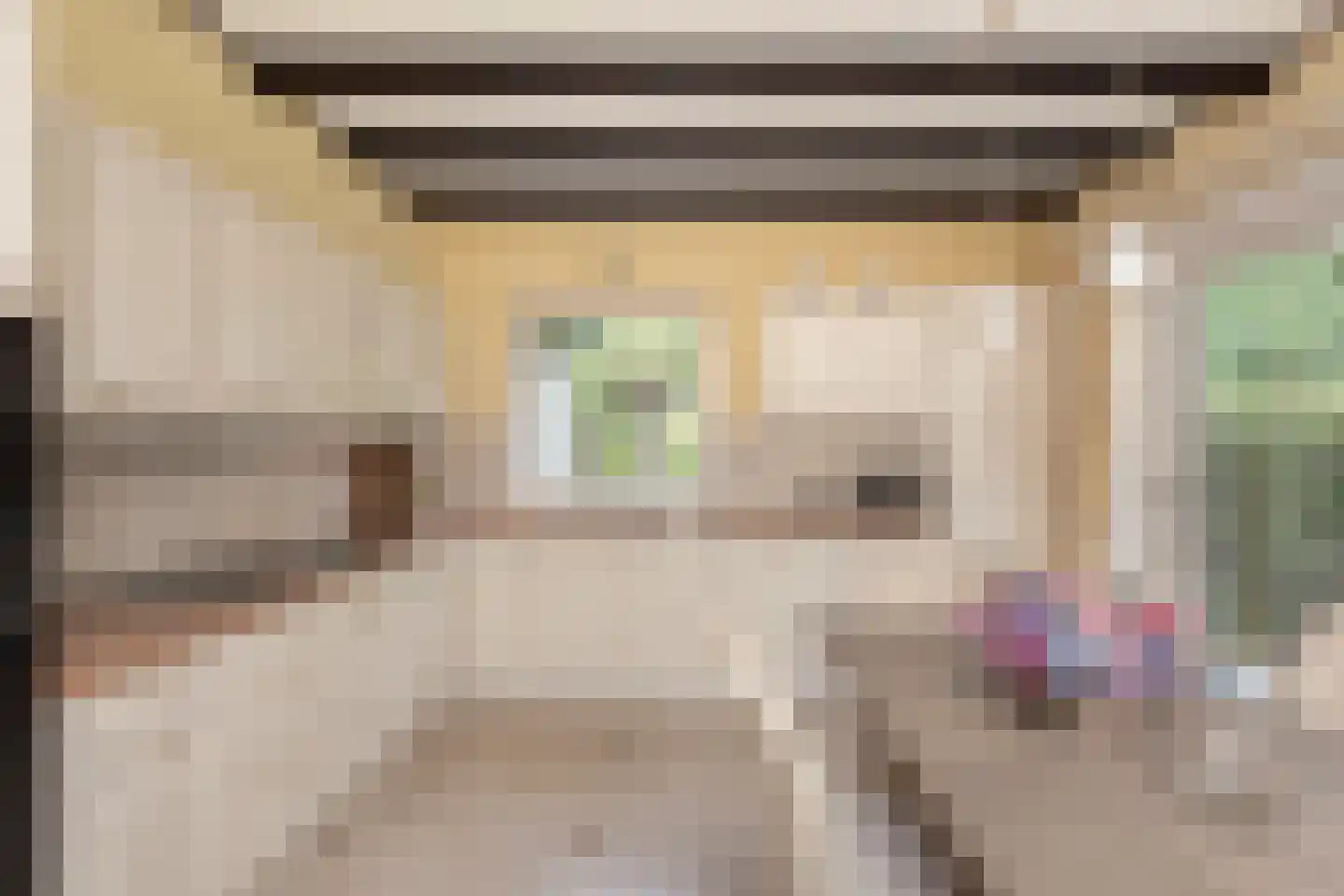 Museumlaan 7 Huizen thumbnail 15
