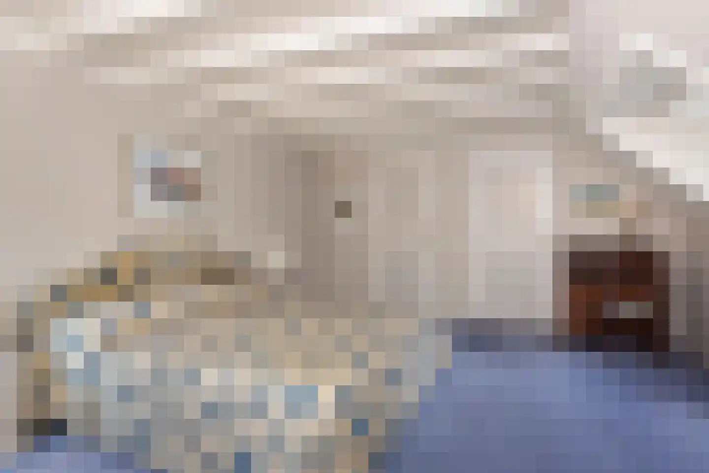 Museumlaan 7 Huizen thumbnail 19