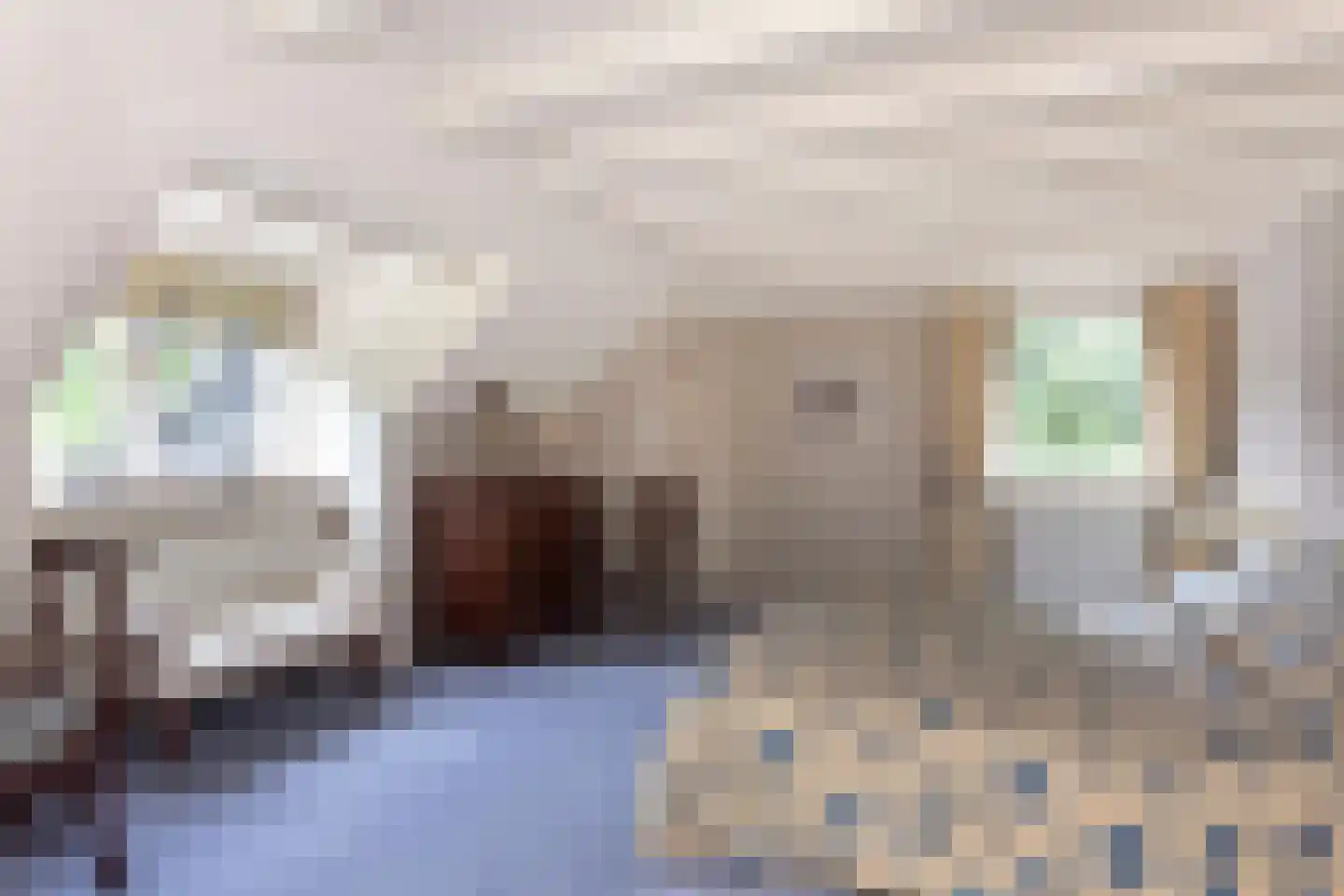 Museumlaan 7 Huizen thumbnail 20