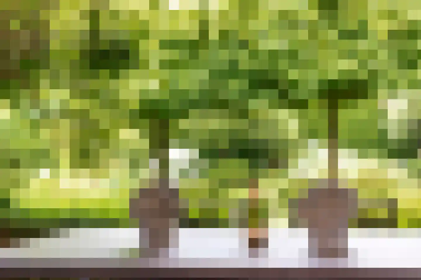 Museumlaan 7 Huizen thumbnail 27