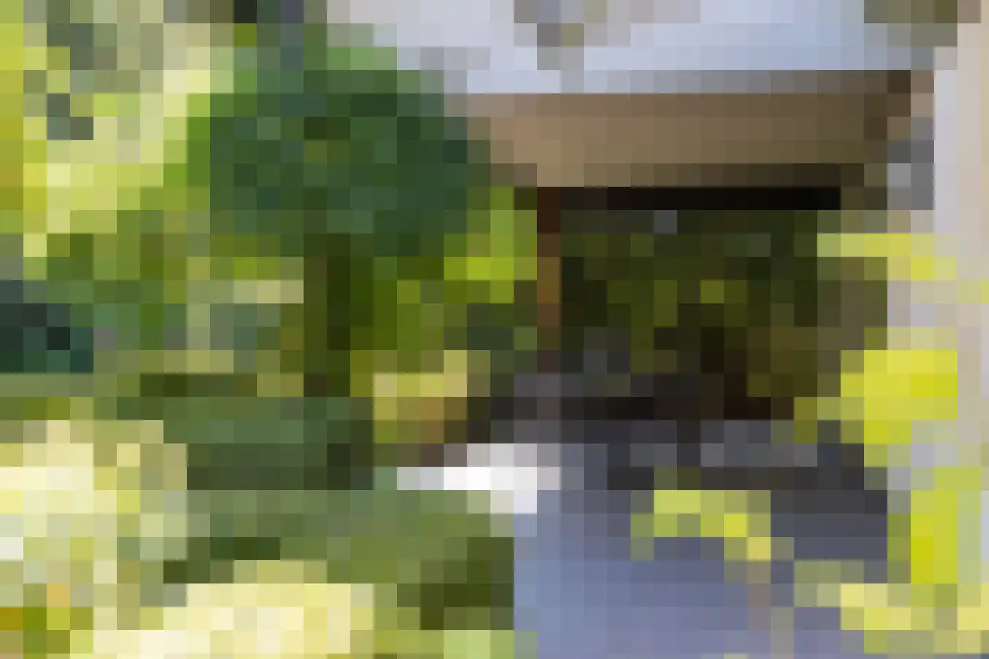 Museumlaan 7 Huizen thumbnail 29