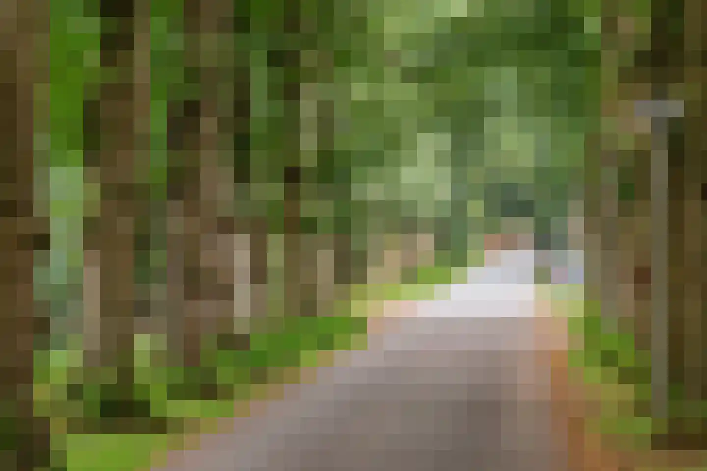 Museumlaan 7 Huizen thumbnail 32