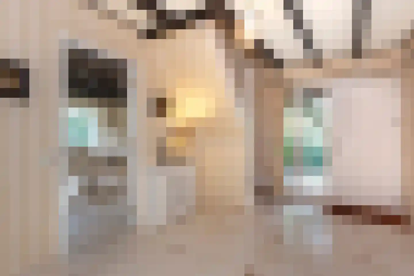 Museumlaan 7 Huizen thumbnail 5