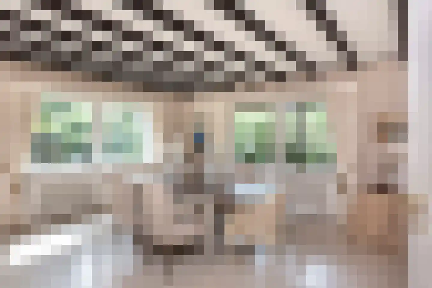 Museumlaan 7 Huizen thumbnail 6