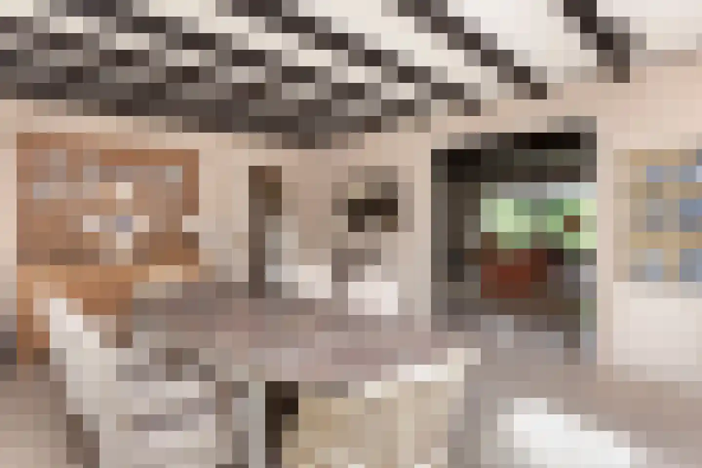 Museumlaan 7 Huizen thumbnail 7