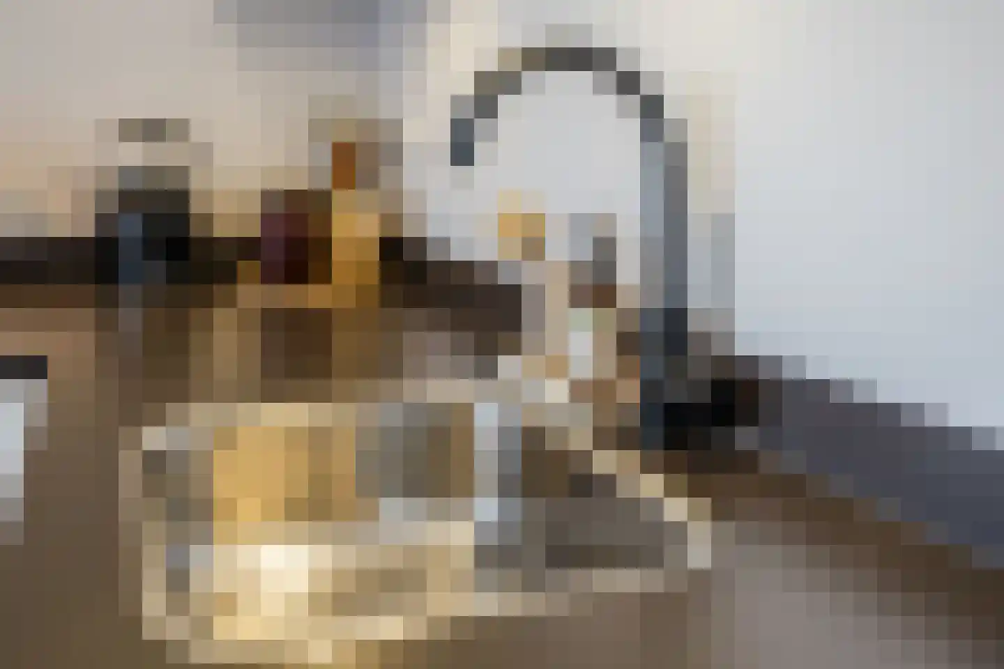Museumstraat 65 Alkmaar thumbnail 15
