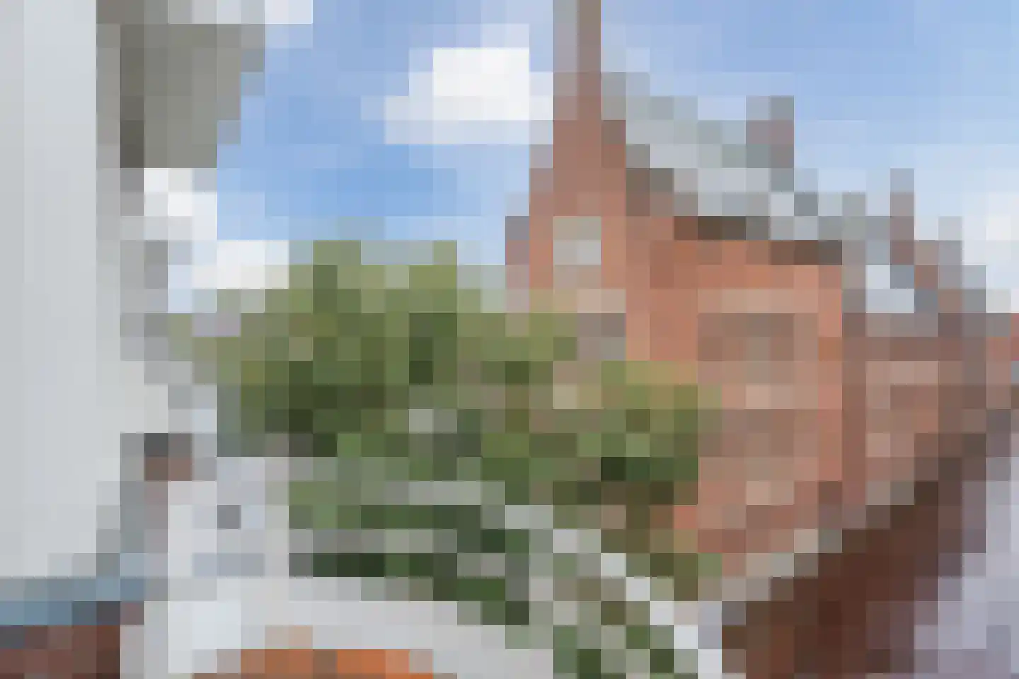 Museumstraat 65 Alkmaar thumbnail 42