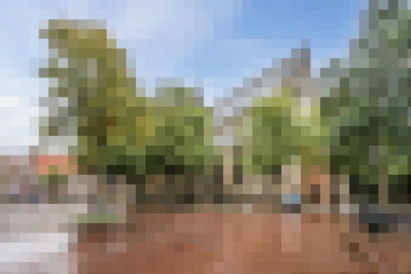Museumstraat 65 Alkmaar thumbnail 45