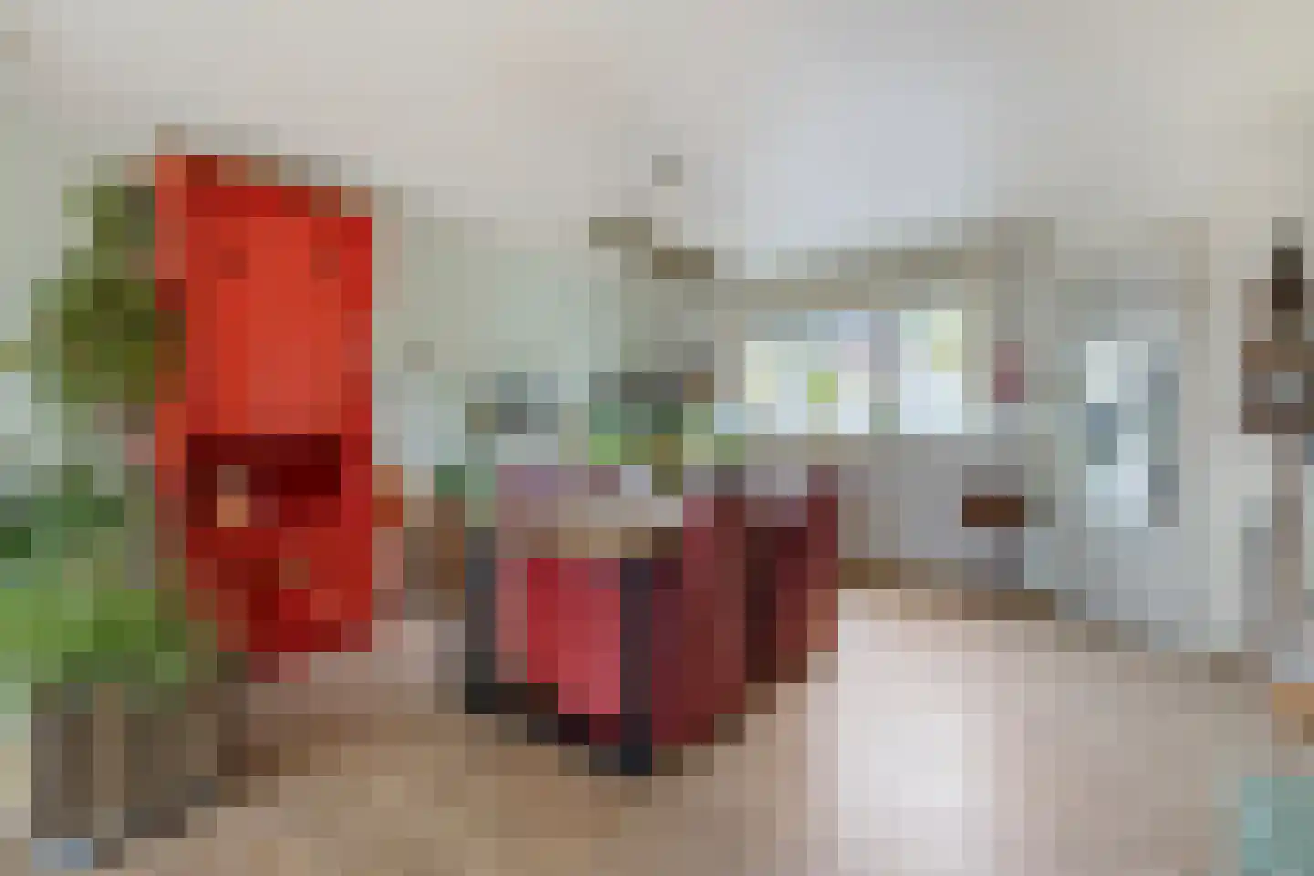Musholm 11 Hoofddorp thumbnail 11