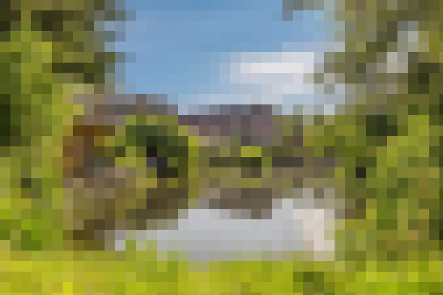 Musholm 11 Hoofddorp thumbnail 35