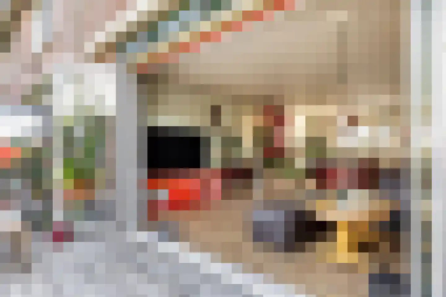 Musholm 11 Hoofddorp thumbnail 4