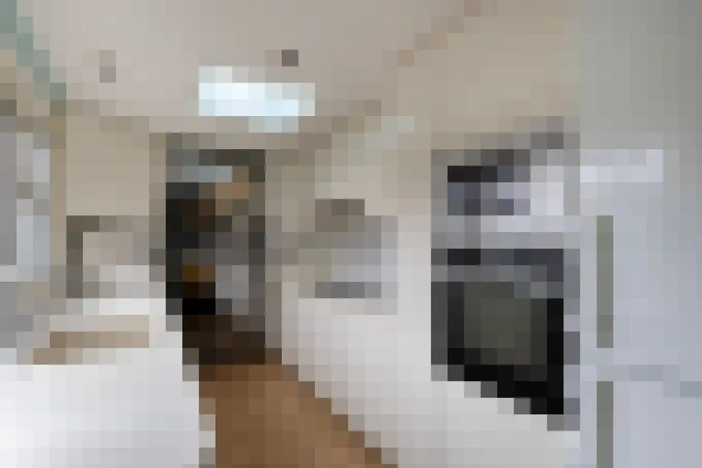 Musholm 11 Hoofddorp thumbnail 7