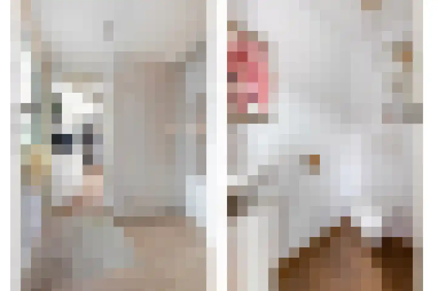 Musholm 11 Hoofddorp thumbnail 8