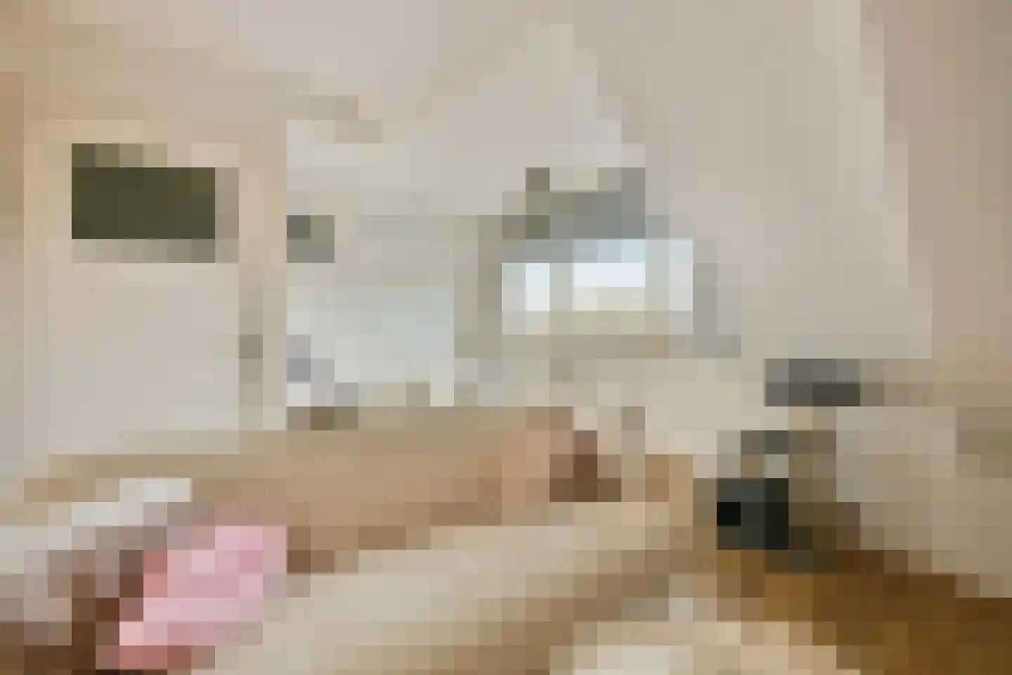 Musholm 145 Hoofddorp thumbnail 25