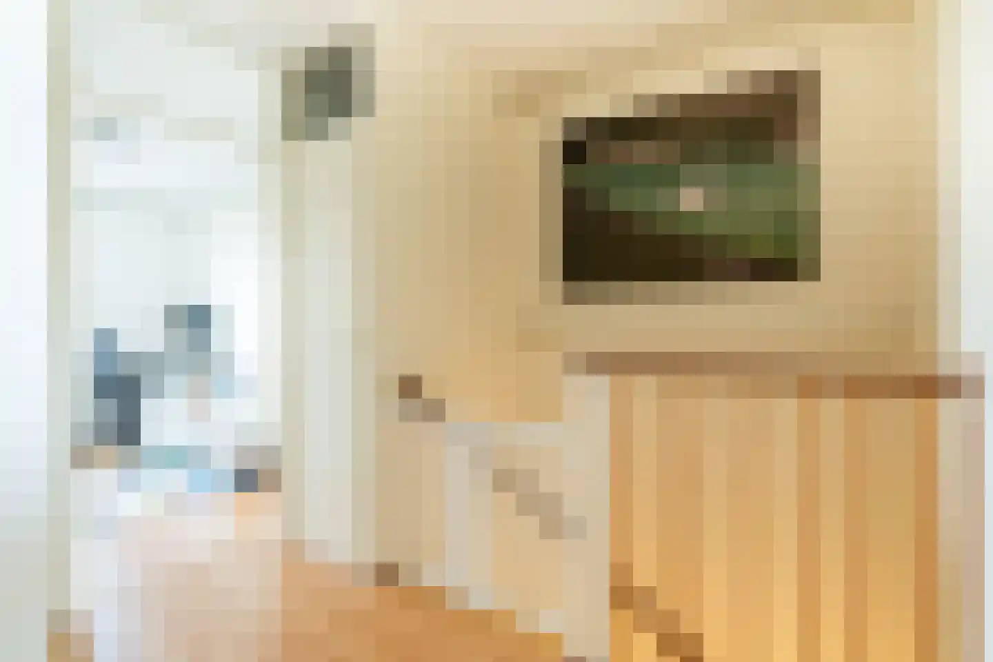 Musholm 194 Hoofddorp thumbnail 28