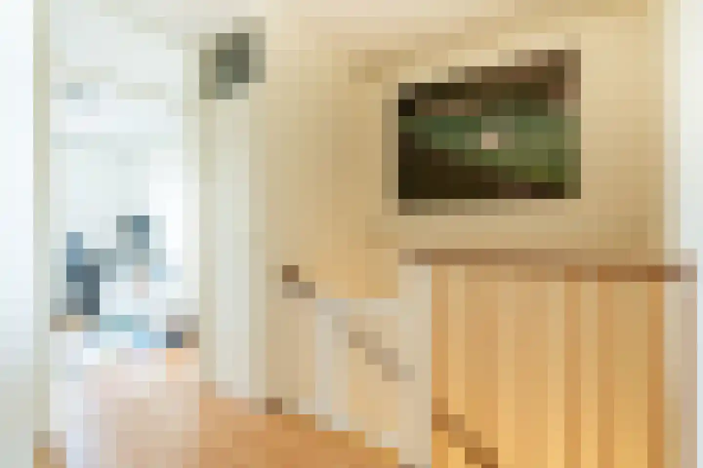 Musholm 194 Hoofddorp thumbnail 28