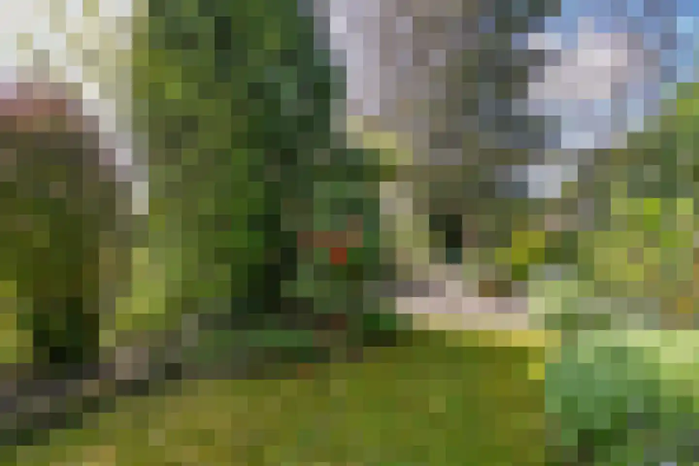 Musholm 3 Hoofddorp thumbnail 21