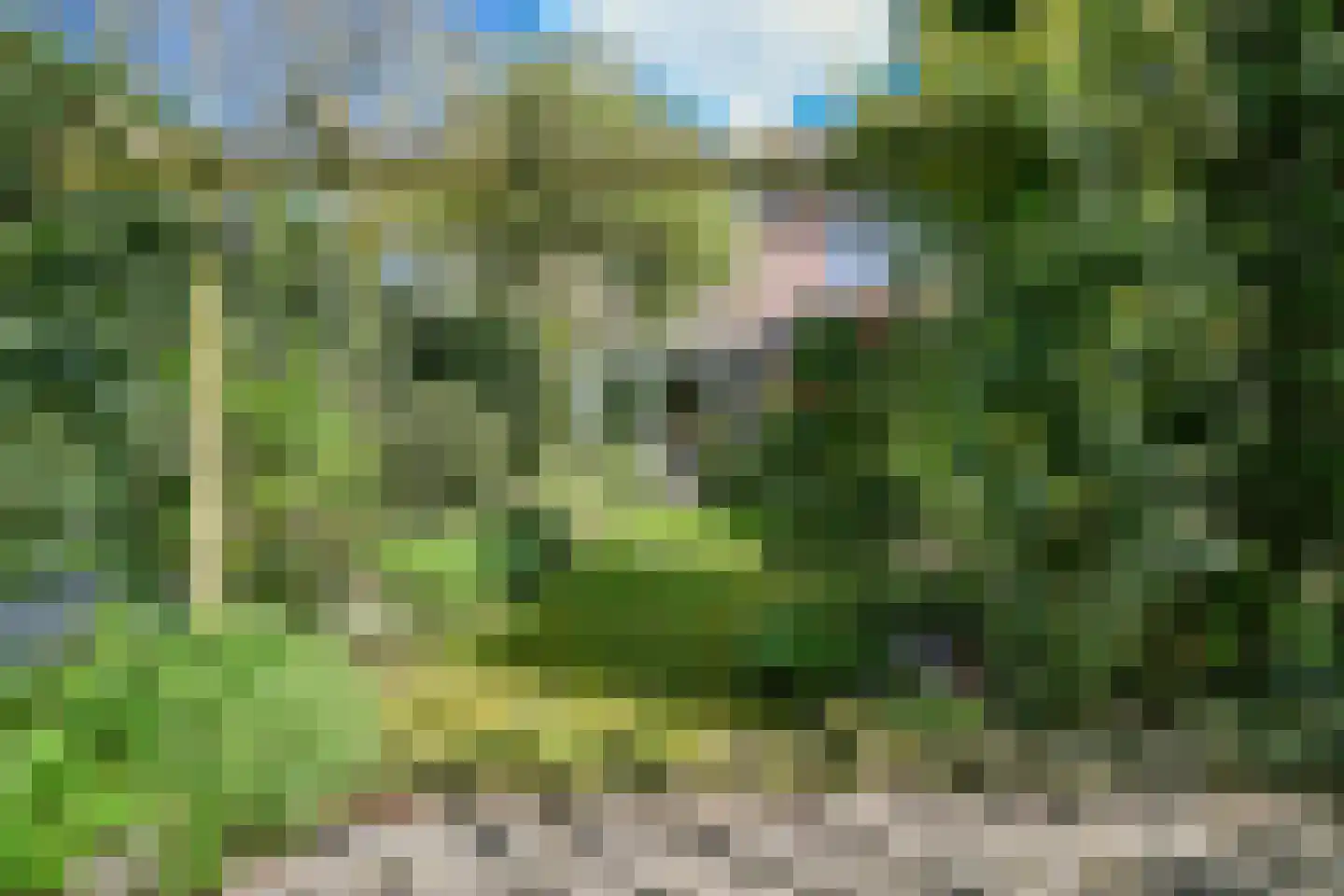 Musholm 3 Hoofddorp thumbnail 24
