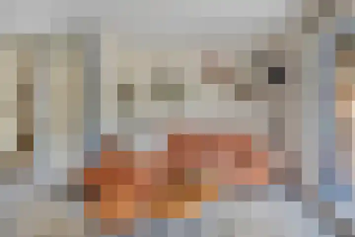 Musholm 37 Hoofddorp thumbnail 11