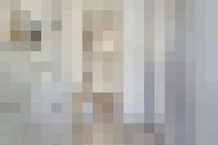 Musholm 37 Hoofddorp thumbnail 21
