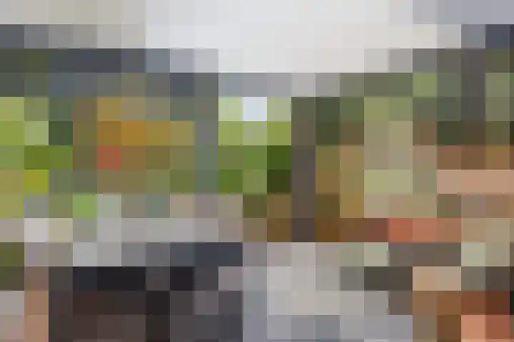 Musholm 37 Hoofddorp thumbnail 22