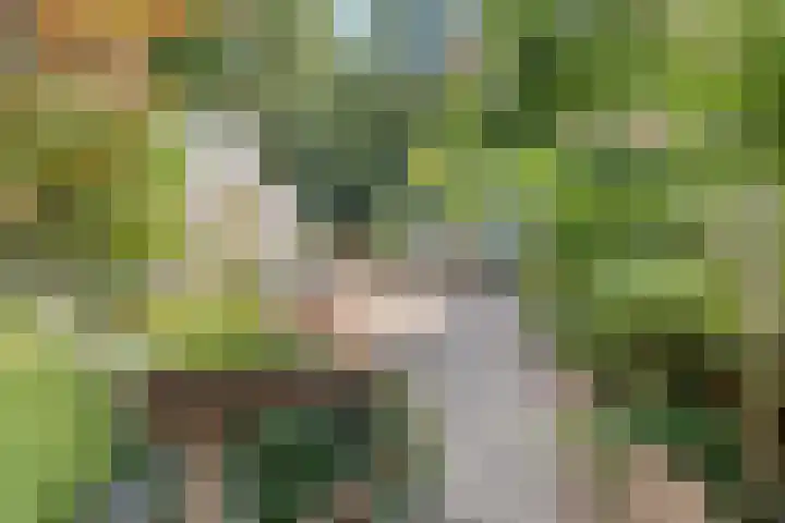 Musholm 37 Hoofddorp thumbnail 24