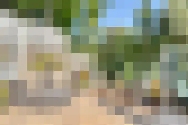Musholm 37 Hoofddorp thumbnail 25