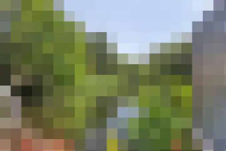 Musholm 37 Hoofddorp thumbnail 26