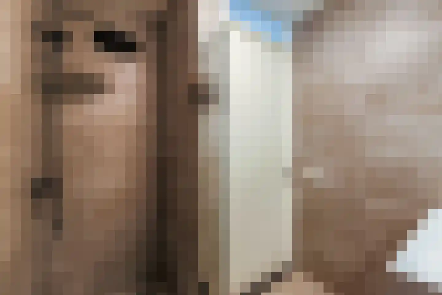 Musicaldreef 60 Harderwijk thumbnail 30